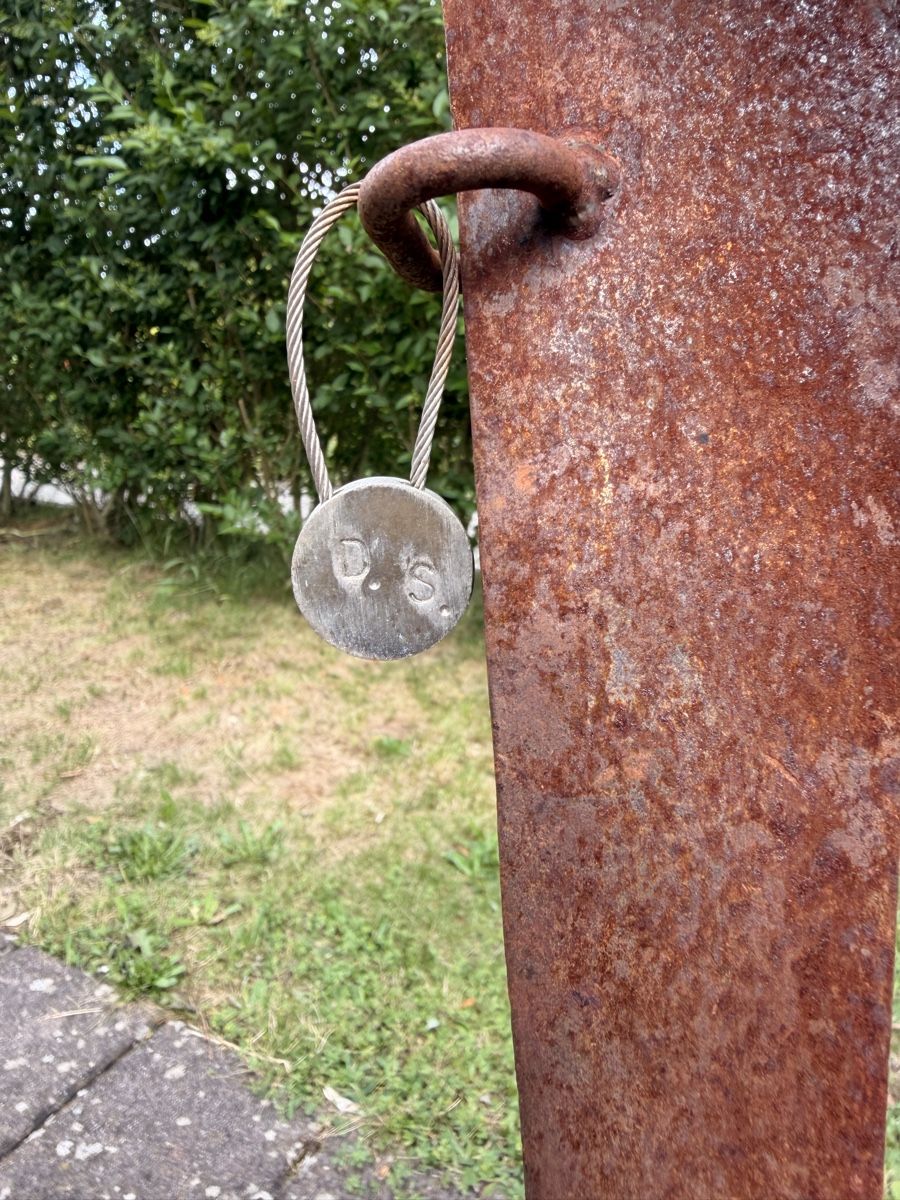 Sculture & Statue: Dani Schwarz Skulptur – Usato da Veltheim AG venduto da andreaswenger02 3