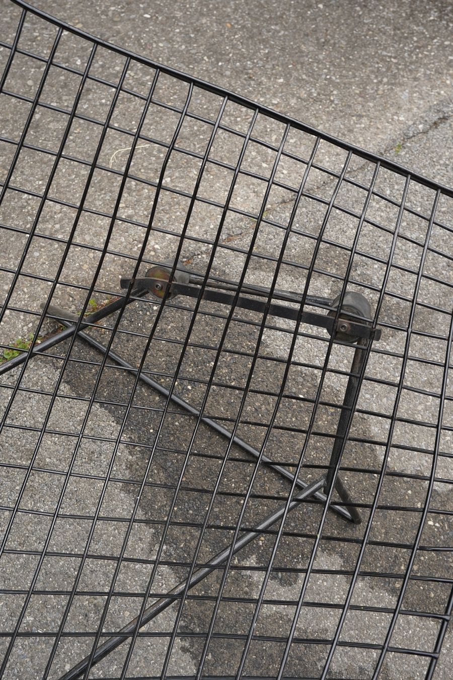 Knoll Sedie: Harry Bertoia Bird Chair – Usato da Bern venduto da Hoechstbietende 4
