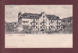 ZÜRICH - Theodosianum - 1904