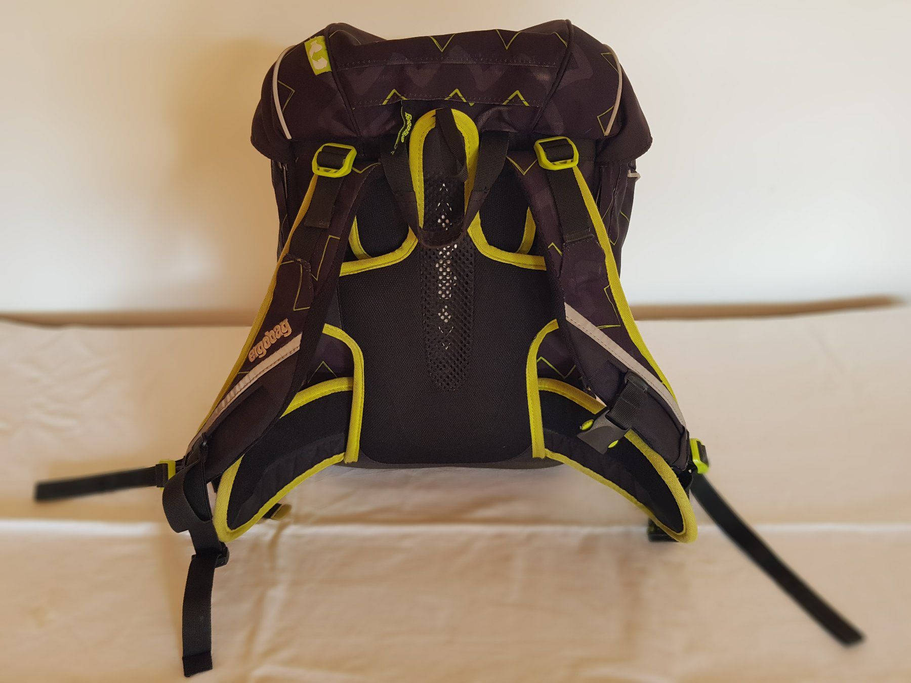 Ergobag Borse & Zaini: Schulsack von Ergobag mit viel Zubehör – Usato da Schleitheim venduto da crestasee 3
