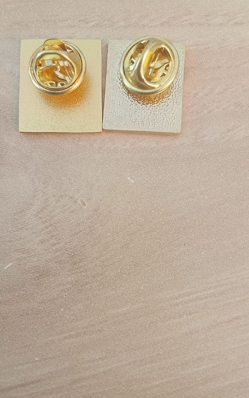 Plaquettes & Badges: Pin Schweiz  – D'occasion à Liebefeld par CD-Urs 1
