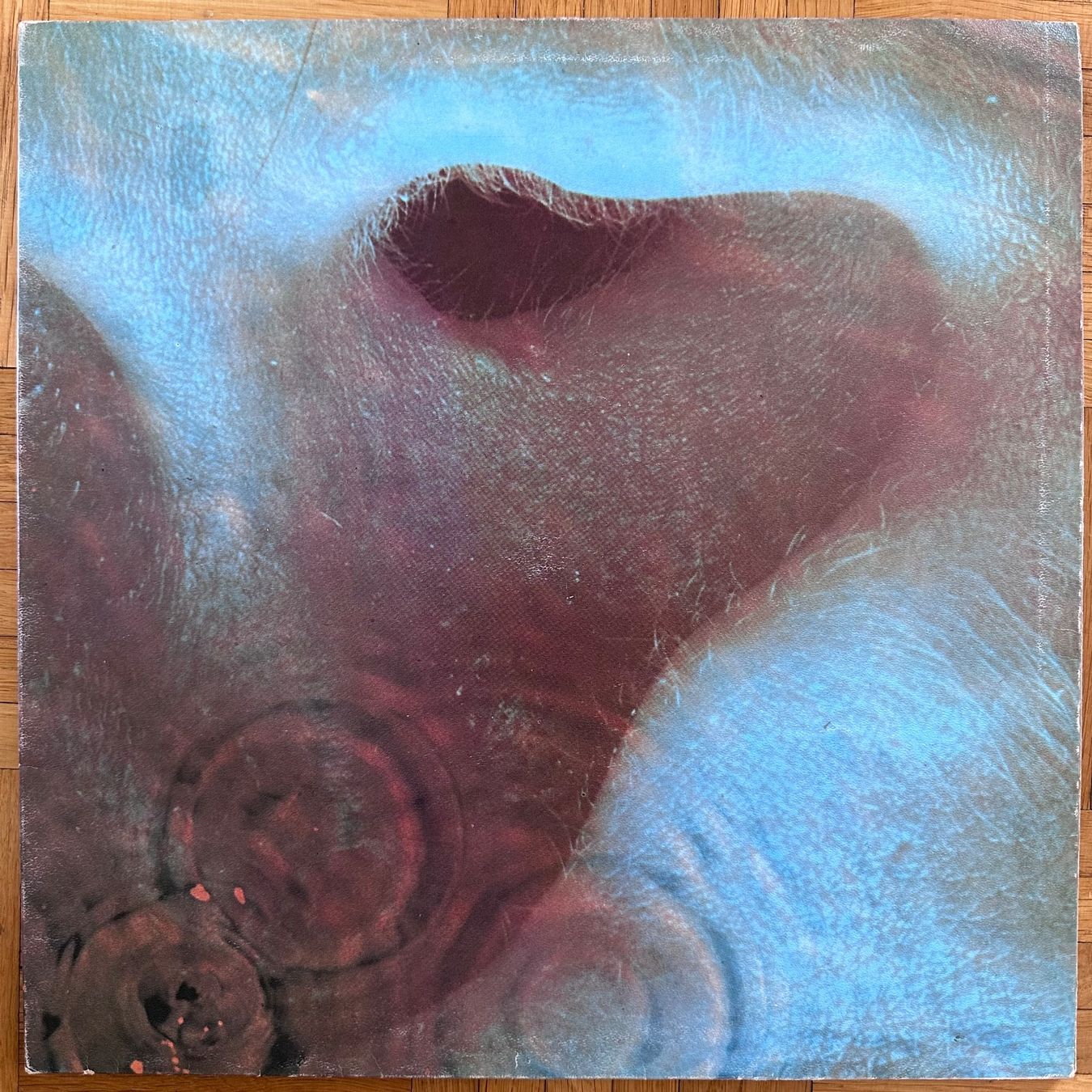 Dischi in vinile: LP - Pink Floyd – Meddle – Usato da Breganzona venduto da Onairda75