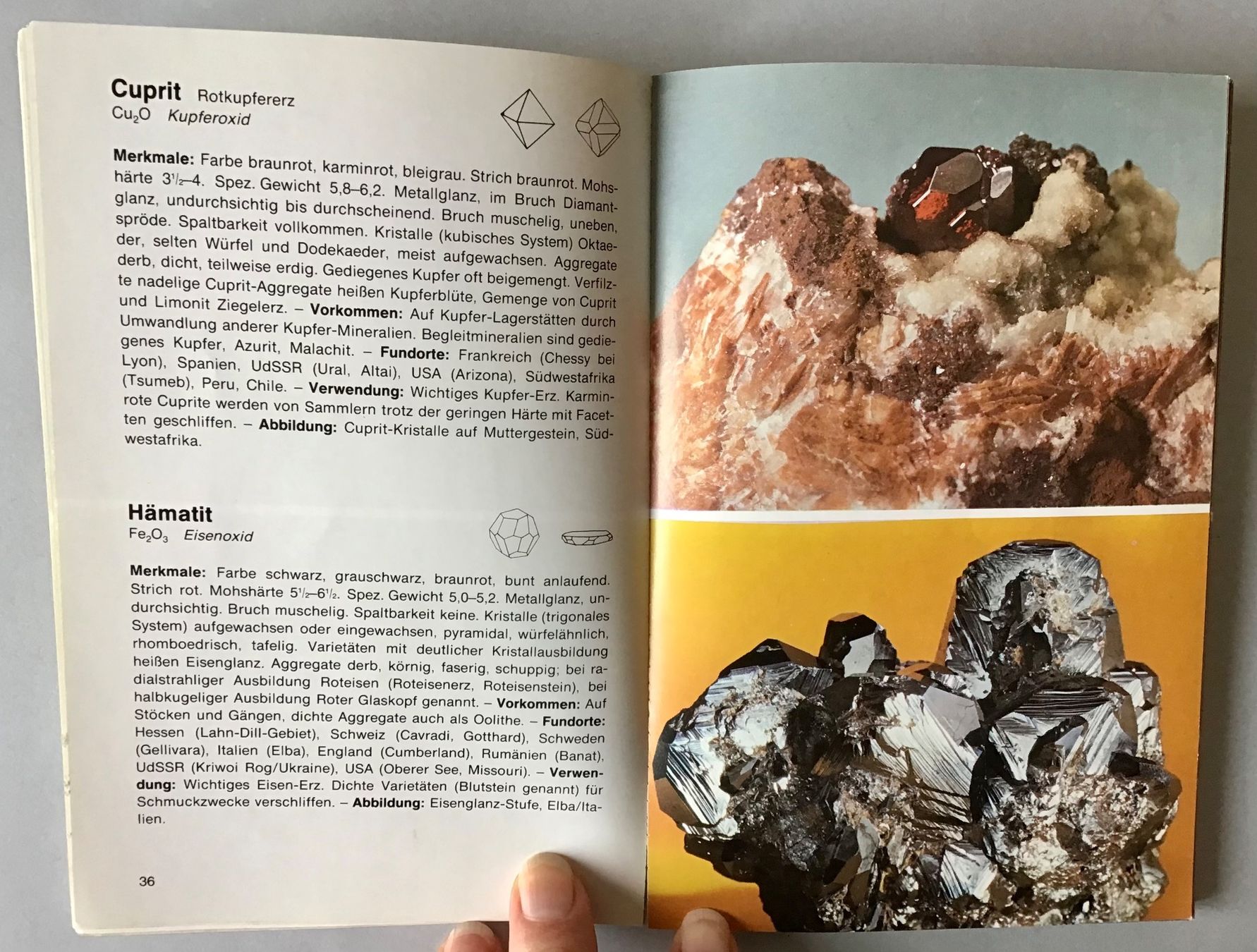 Libri: Buch: MINERALIEN + GESTEINE – Usato da Bubendorf venduto da Alpenheidi 4