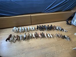 Grosse Schleich Pferde Sammlung 