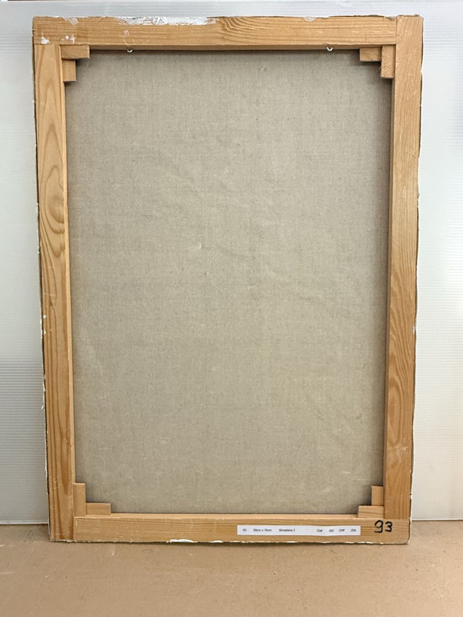 Dipinti: Ölgemälde 70x50cm, signiert  – Usato da Solothurn venduto da NUVICO 5