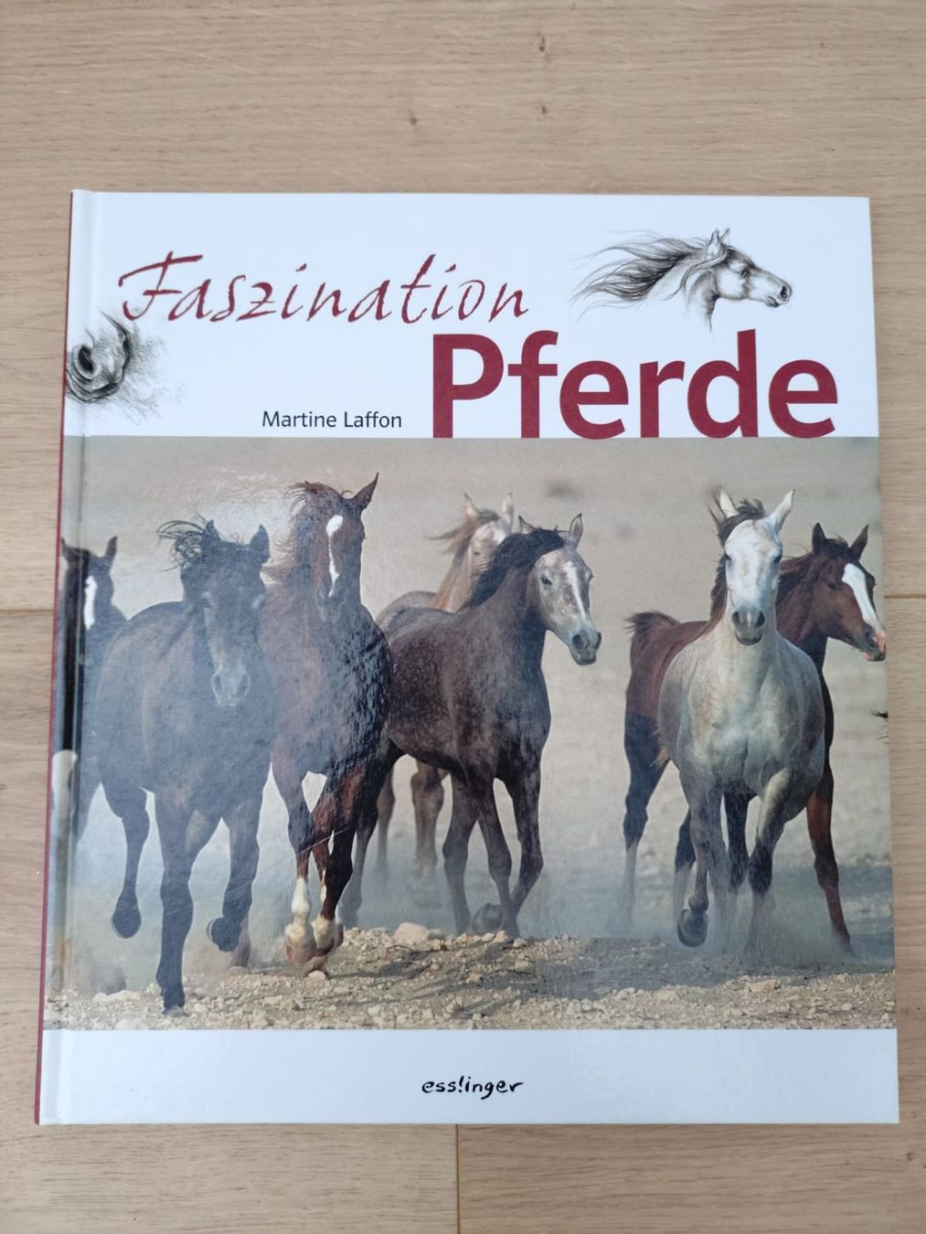Libri: Buch Faszination Pferde – Usato da Tobel venduto da len_n2sn