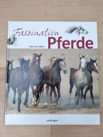 Buch Faszination Pferde