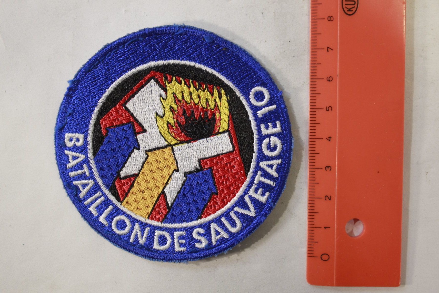 Schweizer Armee Patches: bat sauv 10 – Gebraucht aus La plaine von 7A6T2ME