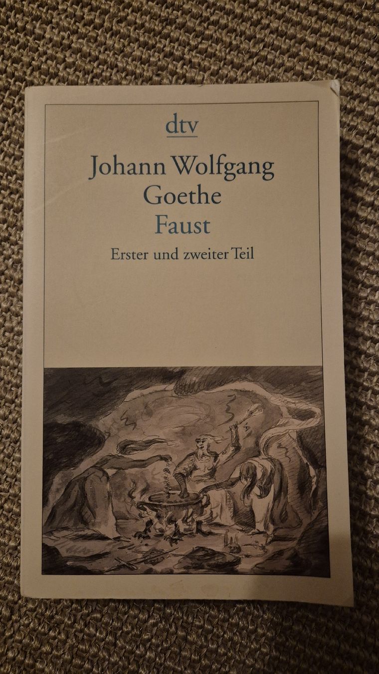 Libri: Göthe - Faust I & II – Usato da St. Gallen venduto da justmeeee
