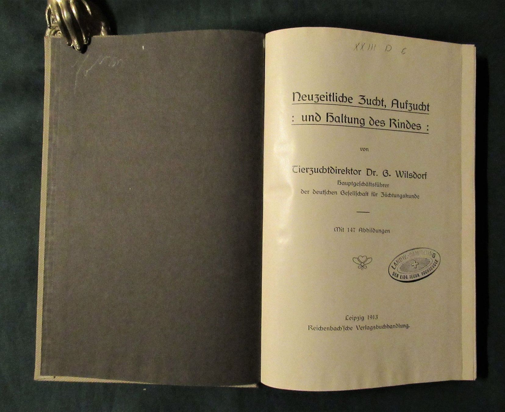 Bücher: Rind  Rinderzucht  Rinderhaltung – Gebraucht aus Hedingen von Protechnica 1