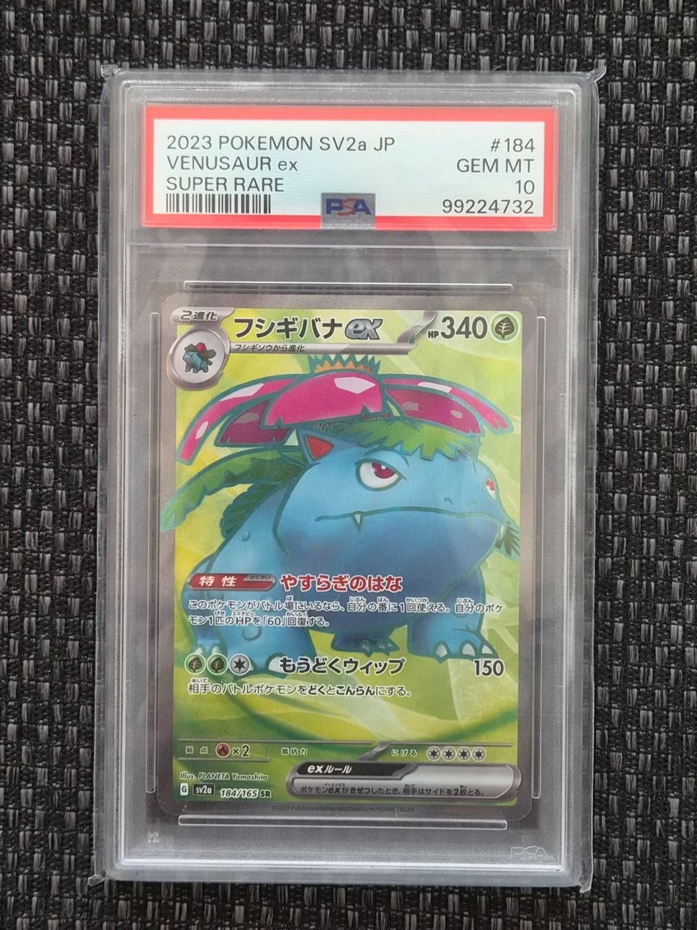 Pokémon Carte collezionabili: 3 Pokemon Karten PSA 10 Venusaur Charizard Blastoise seq. Nr – Nuovo (secondo la descrizione) da Wattwil venduto da xGamePlayElite 2