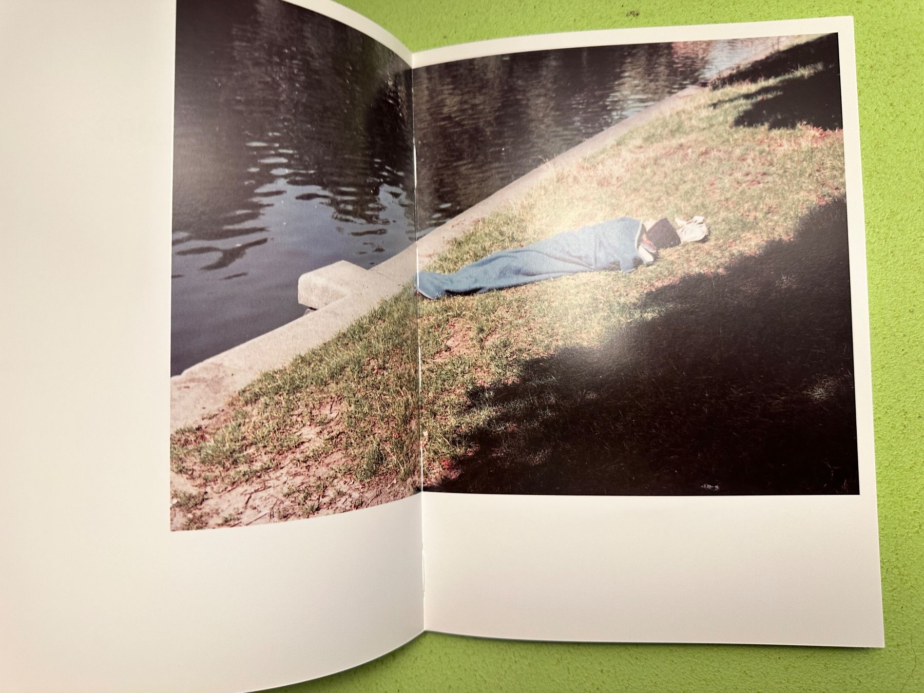 Libri: Erik Steinbrecher: 'Gras' – Usato da Zürich venduto da allp 2