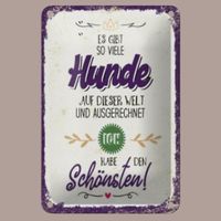🔥 SCHÖNSTER HUND DER WELT Blechschild 💜 12x18cm OVP🔥