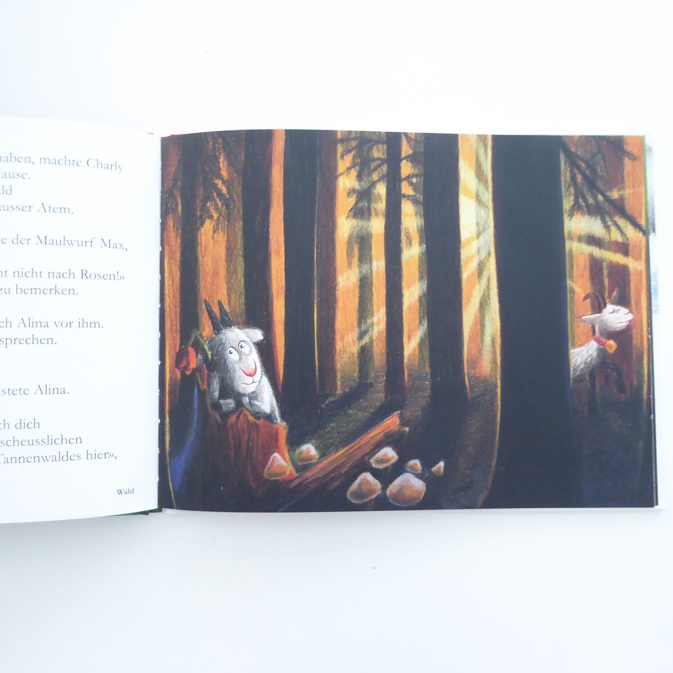Libri: Der stinkende Geissbock - Duftbuch – Usato da Basel venduto da Kunterbunt12 5