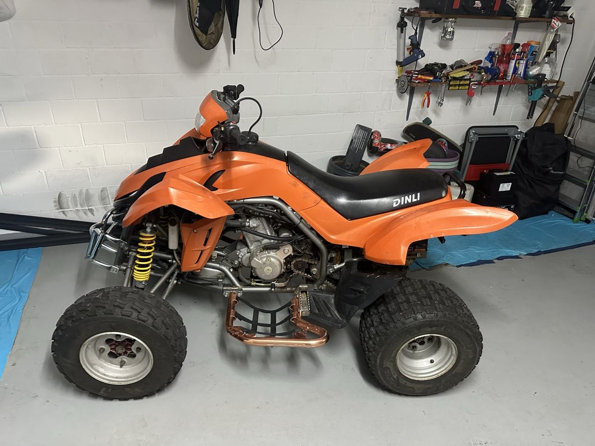 Dinli ATV / Quad: Quad Dinli Dmx 450 2006 – Usato da Geuensee venduto da Besi6232 1