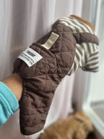 Warmer Anzug für einen kleinen Hund