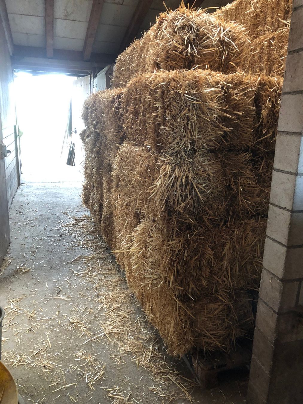 Nourriture: Stroh Kleinballen 72 Stk. – D'occasion à Rosshäusern par Cleaner 1