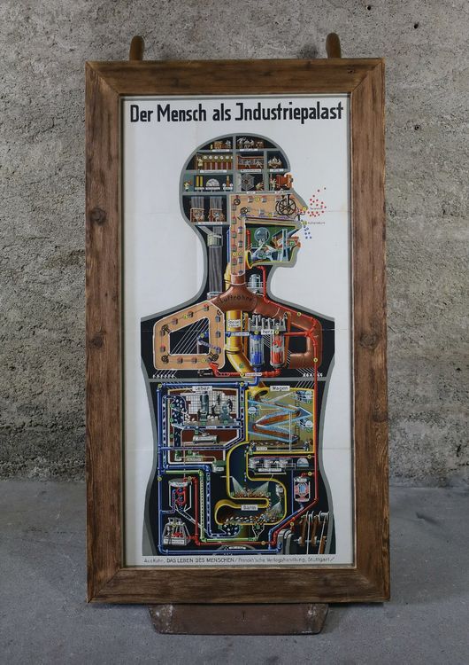 Fritz Kahn Industriepalast & 5 Bände das Leben des Menschen | Kaufen ...