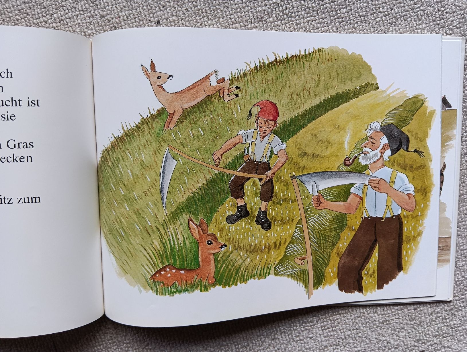 Libri: Der Bueb vom Trieb, Ei Buch vom Emmental neu – Nuovo (secondo la descrizione) da Wettingen venduto da zadina39 3