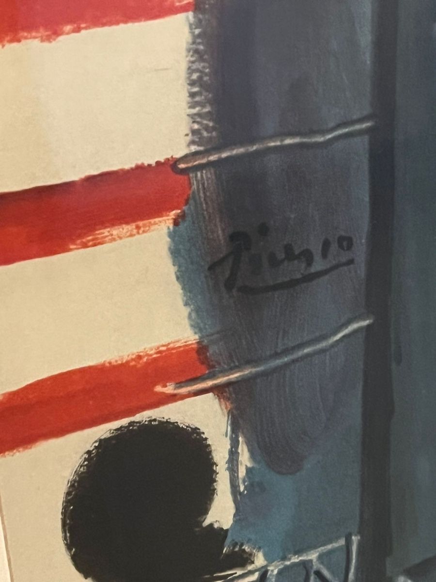 Foto & Immagini: Picasso Bild eingerahmt – Usato da Zürich venduto da joal2 3