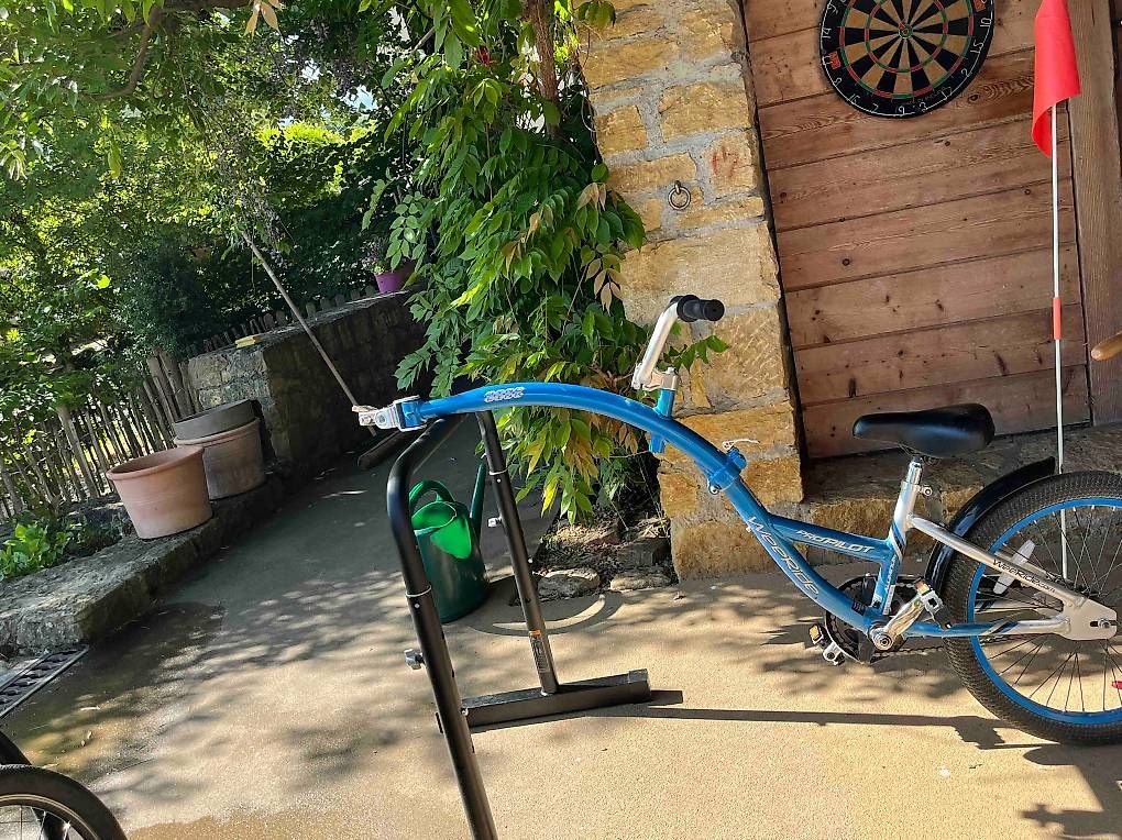 Vélos: Weeride CoPilot demi vélo 20" – D'occasion à Ferreyres par Alex_Andro