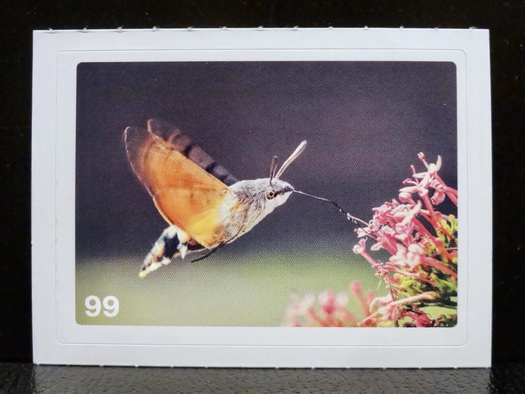 Migros Sammelbilder & Trading cards: MIGROS MANIA Nature Detectives Nr. 99 – Gebraucht aus Kerzers von zimmergruen