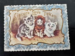 Altes Papier-Ephemera mit Katzenmotiv