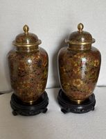 Bellissima copia di vasetti in cloisonné