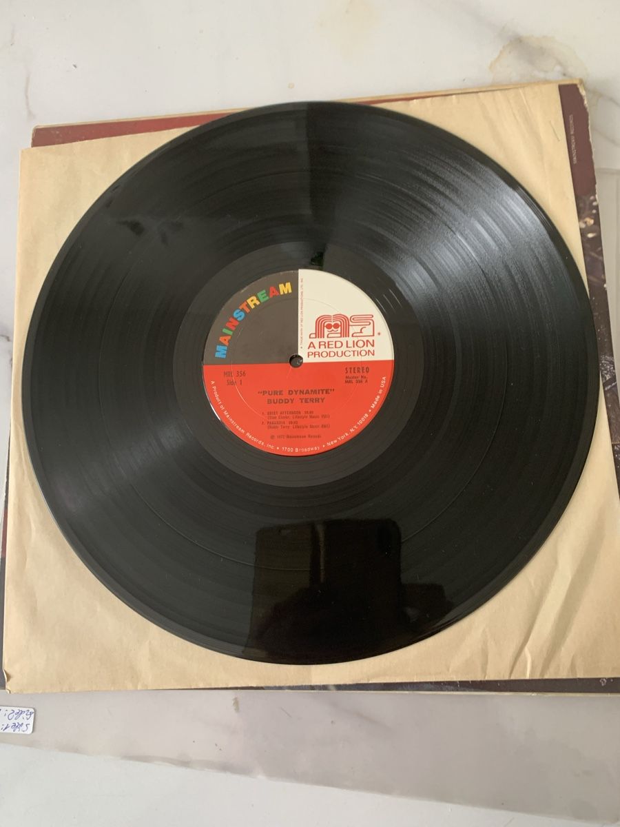 Dischi in vinile: Buddy Terry/Pure Dynamite(Stanley Clarke) – Usato da lausanne venduto da Ccheche 3