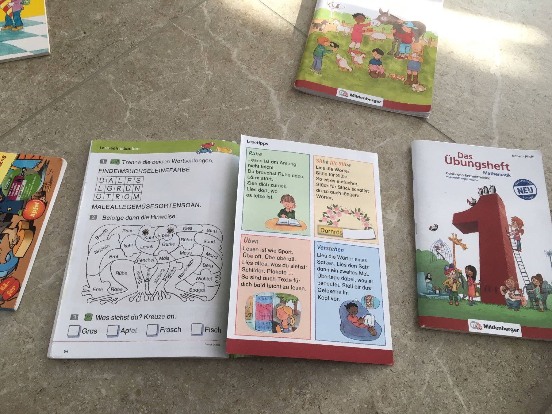 Libri: Schulbücher 1. Klasse, Übungshefte, Lernmaterialien Set – Usato da Gächlingen venduto da Tara_devi 2