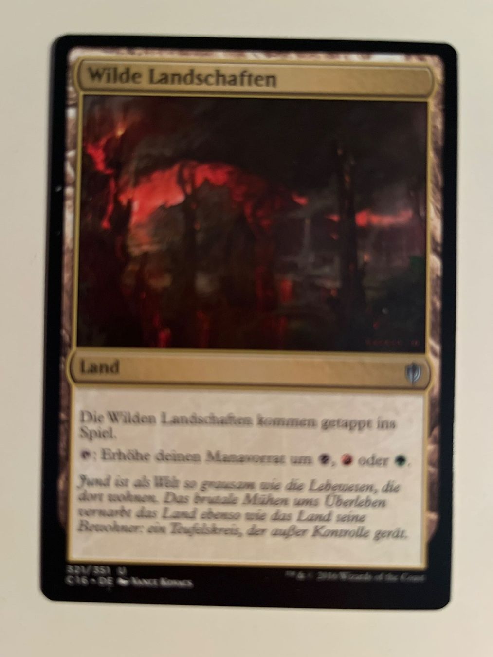 Magic The Gathering Carte collezionabili: 1 x Wilde Landschaften - Magic: The Gathering - MtG – Usato da Kriens venduto da Shadi1980