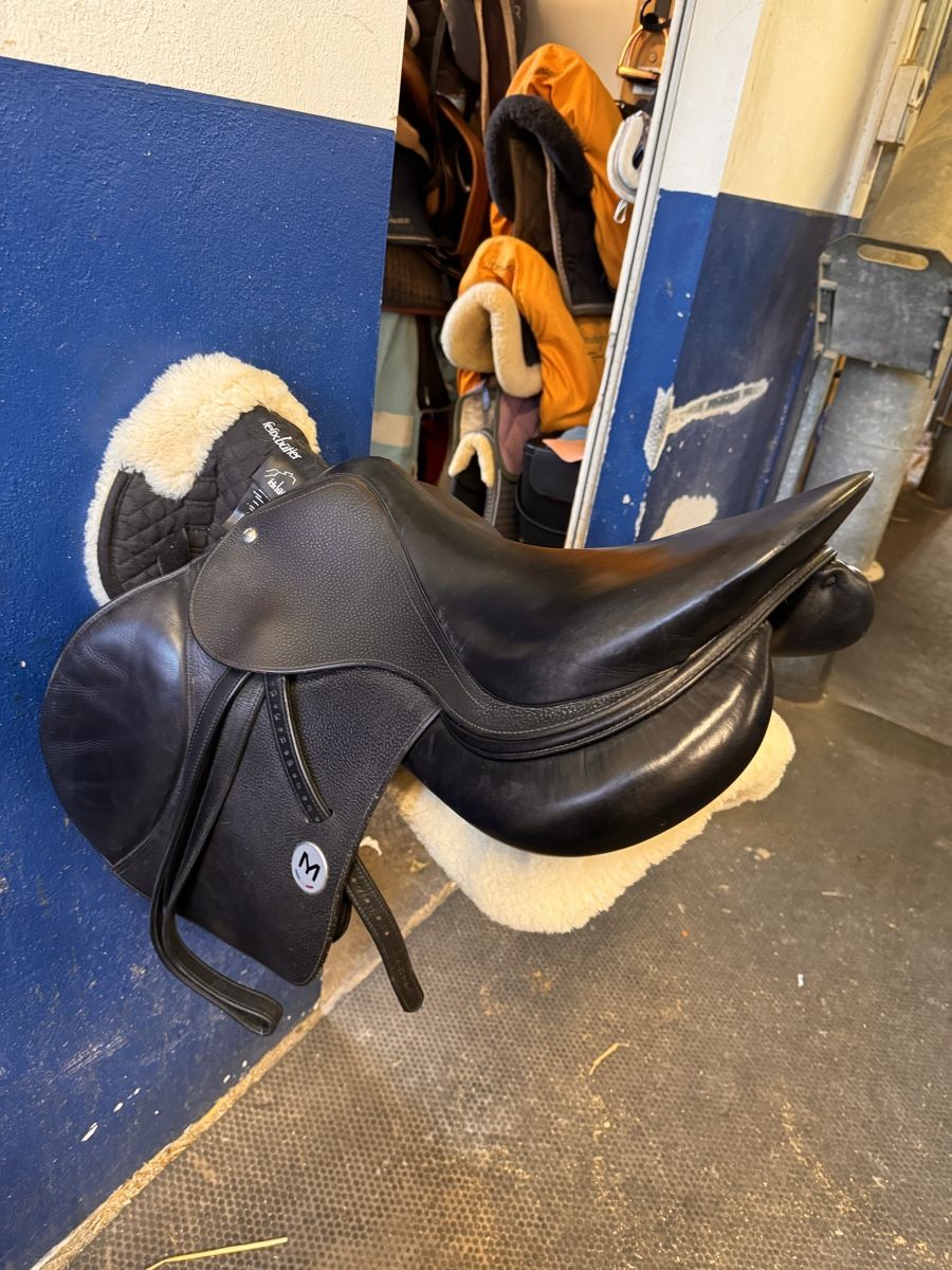 Selle & Accessori: Meyer Sattel 18.5 – Usato da Regensdorf venduto da mery26 8