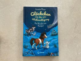 Glöckchen das Weihnachtspony Band 1: Das Wunder vom Nordpol