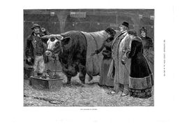 Druckgrafiken aus der „Illustrated London News“zum Verkauf