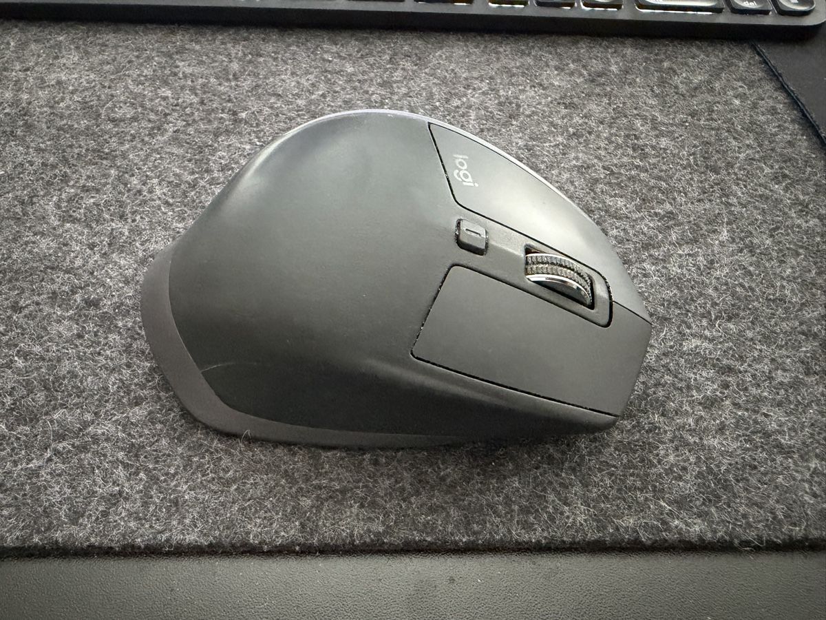 Logitech Mouse: Logitech MX Master 2S – Usato da Zürich venduto da jankais3r 1