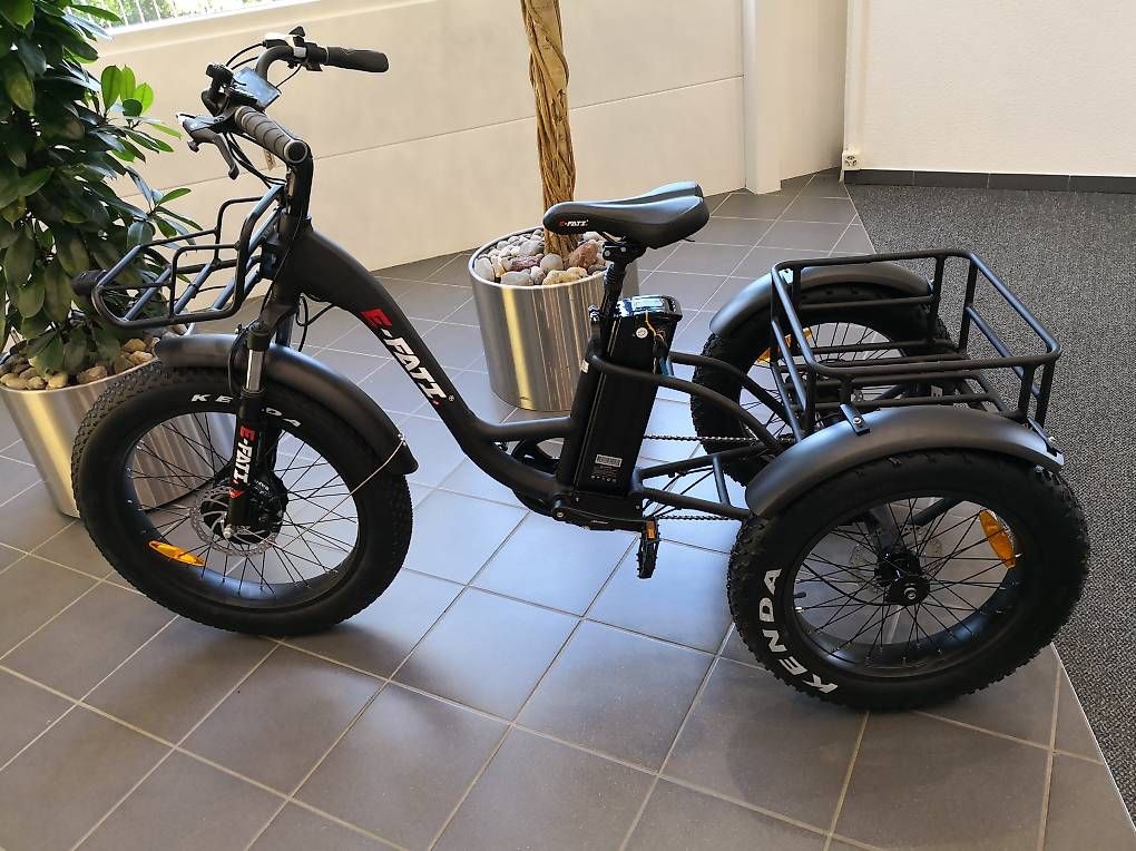 Veicoli elettrici: Elektro Dreirad EFATI – Usato da Lyssach venduto da Hoferbike