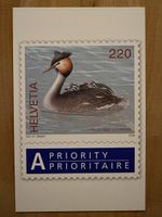 AK mit Tier Briefmarken Motiv von Eva Ch. Weber