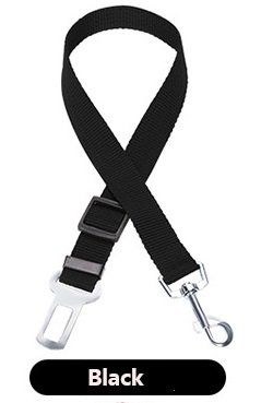 Accessori per altri veicoli: Sicherheits Gurt fürs Auto – Nuovo e nell'imballaggio originale da Matt venduto da Westigruppe