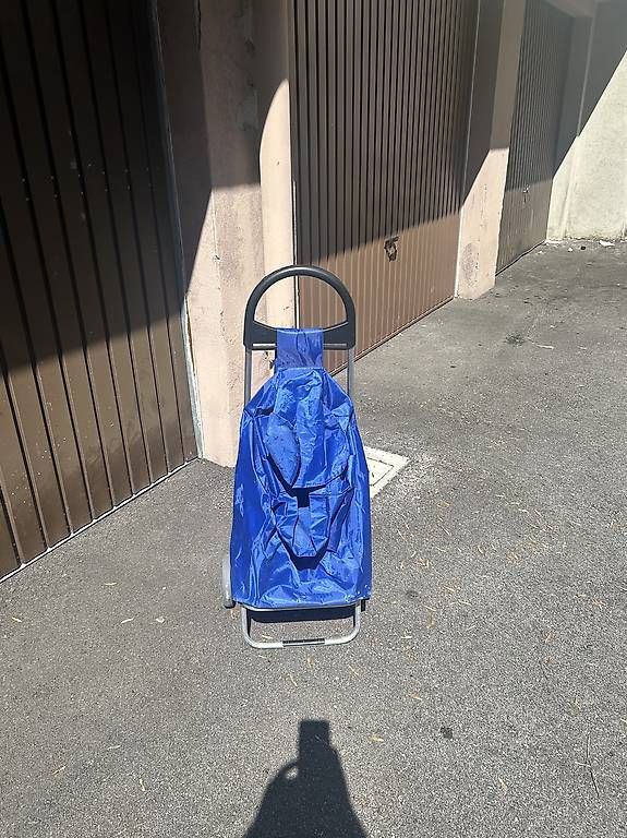 Carrelli di trasporto: Chariot de course pliable – Usato da Lausanne venduto da int_2vrq 1