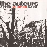 The Auteurs – After Murder Park CD, Indie, Luke Haines