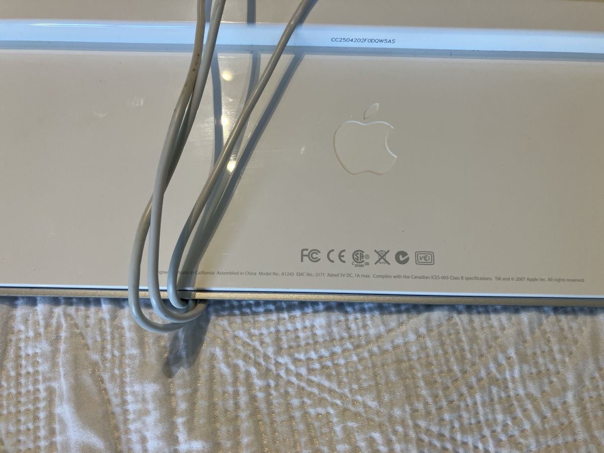 Apple Tastiere: Apple Tastatur – Usato da Schönenwerd venduto da Lichi 2