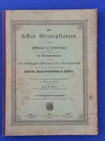 Stebler - die besten Streuepflanzen. Abbildungen 1898