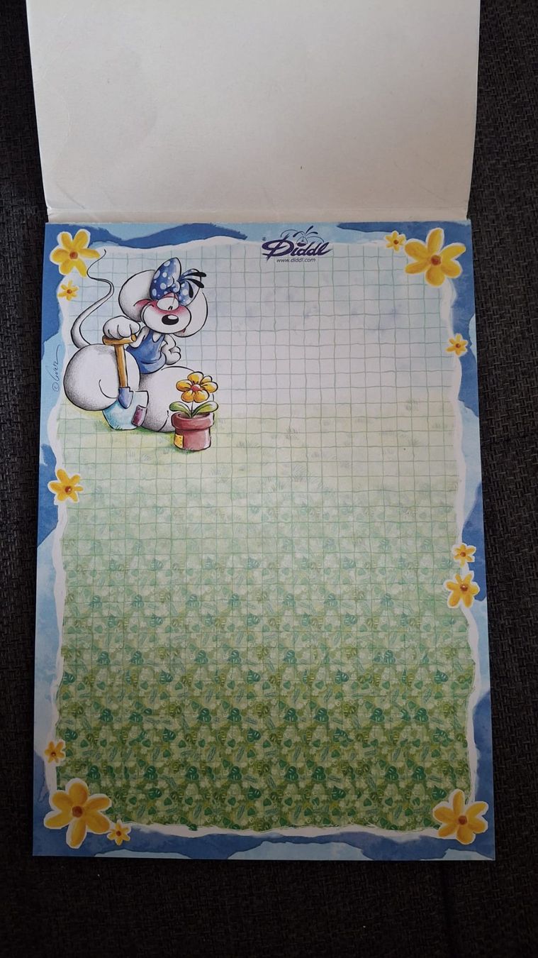 Blocs de correspondance: Diddl Block A5 – D'occasion à Wil SG par FionaSmile 1