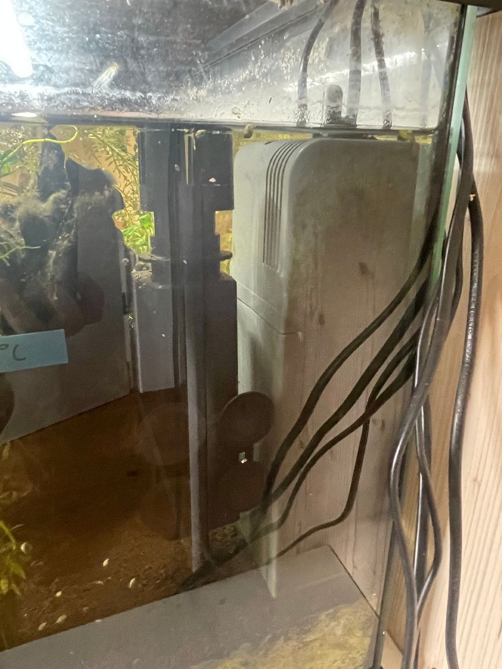 Juwel Aquarium: Aquaruim Komplett oder einzelne Teile – Gebraucht aus Bern von nad_mws6 2