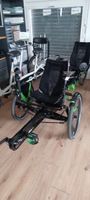 E-Dreirad / BamBuck / BamBuk Dreirad / Tandem / E-Tandem