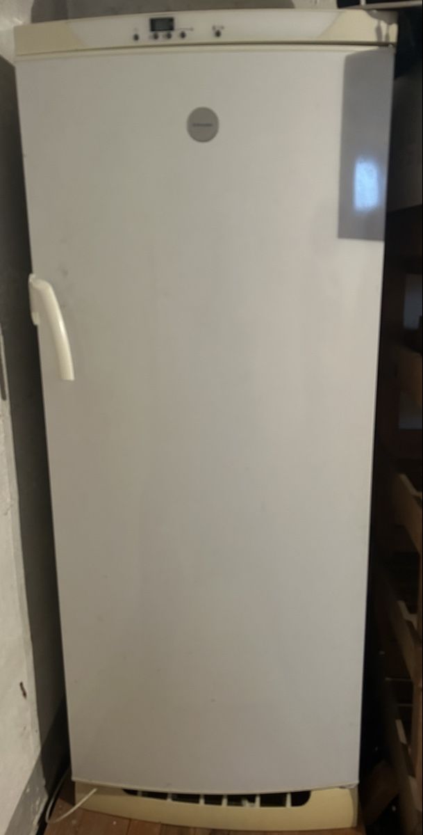 Electrolux Congelatori: Grosser Tiefkühler Elektolux  – Usato da Winterthur venduto da stella67