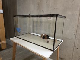 Nagergehege/ Hamsterkäfig aus Glas mit Gitterdeckel