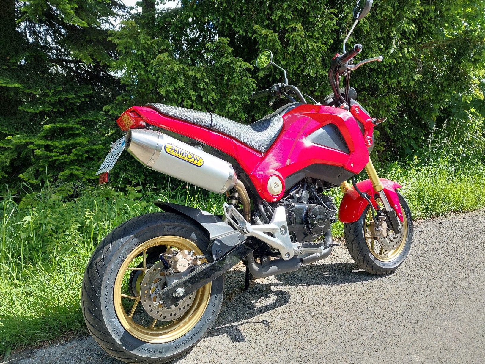Honda Strasse: Honda MSX 125, frisch ab MFK – Gebraucht aus Saland von Lehmann600