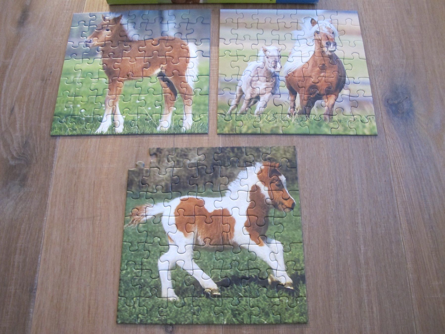 Ravensburger Puzzles: Ravensburger Puzzle Pferde 3x49 Teile – Gebraucht aus Rheinfelden von zwitschi_09 1