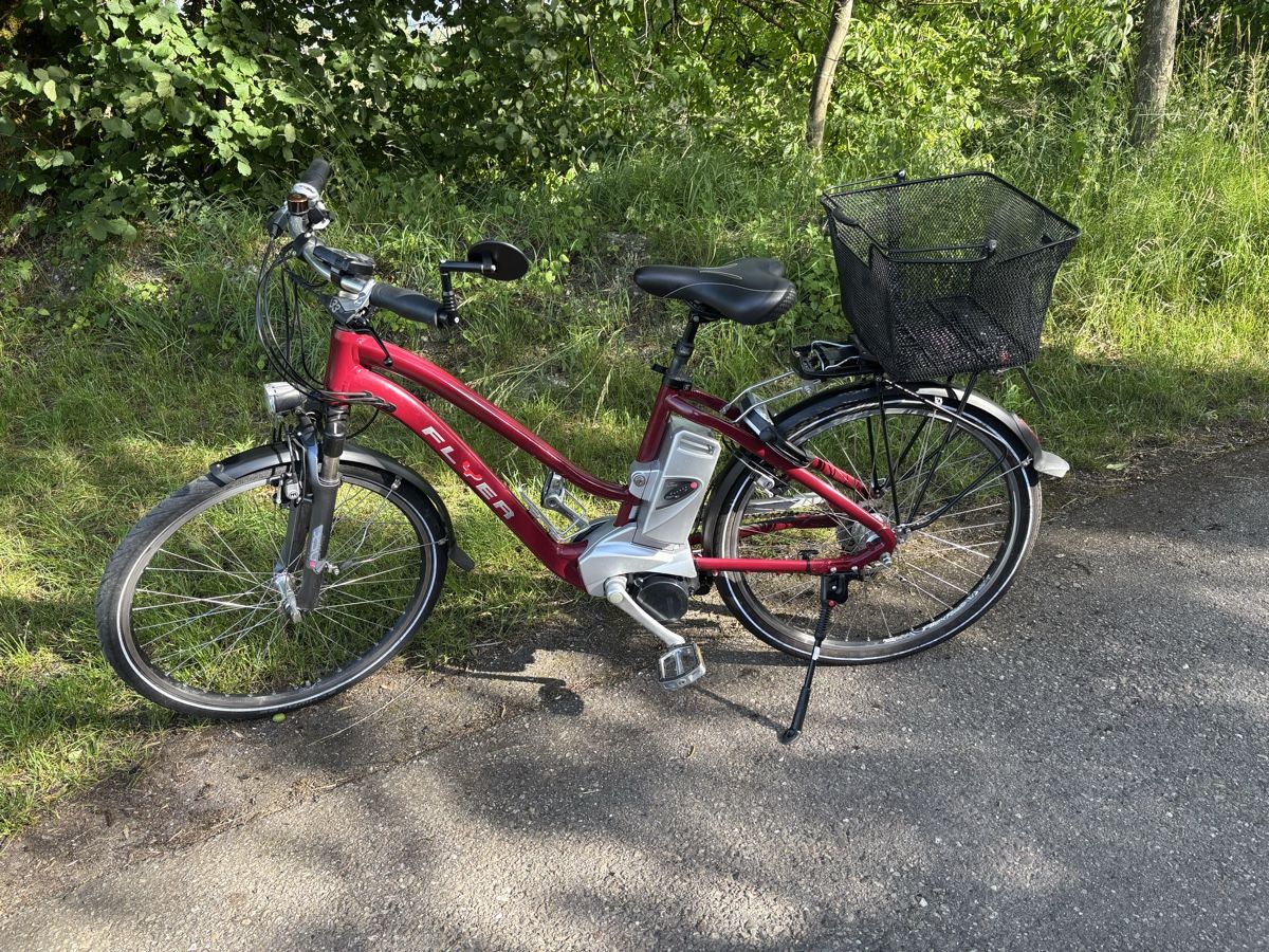 Flyer Biciclette: Flyer 45Km/h – Usato da Kleindietwil venduto da her_d77z
